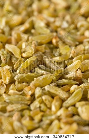 Uncooked, Raw Freekeh Or Firik, Roasted Wheat Grain, Close Up Macro With Selective Focus