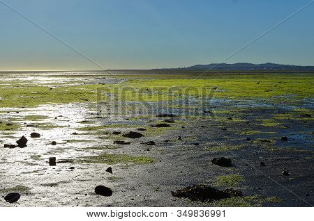 Sunny Morning Dublin Bay In Sandymount Irishtown Nature Park