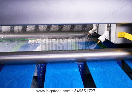 Automatic Industrial Line For Washing And Cleaning Carpets