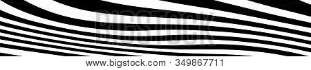 Abstract Black And White Curved Lines Vector. Wide Background Dynamic Wavy Distorted Lines Template