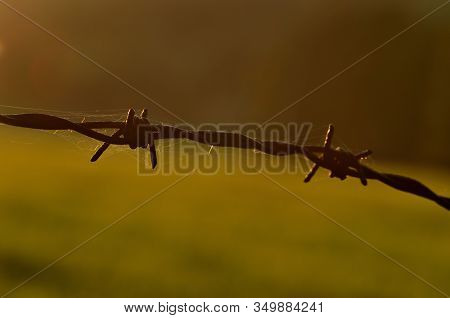 Rusty Barbed Wire At Sunset Symbolizing Oppression, Totalitarianism And War Conflict.