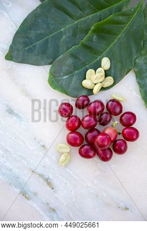 Red Ripe Arabica Coffee Berries, Green Coffee Beands And Leaves
