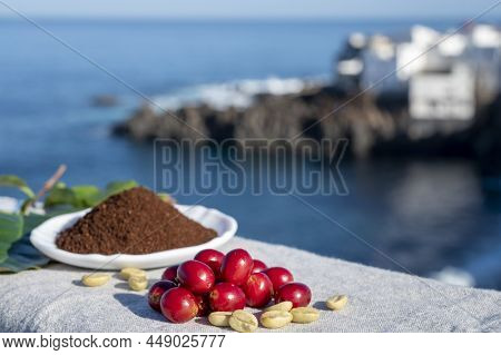 Red Ripe Arabica Coffee Berries, Green Coffee Beands, Leaves And Roasted Ground Coffee In Bowl And B