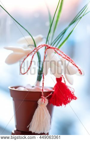 Holiday 1 March. White Snowdrops Galanthus Nivalis In A Pot On A Blue Background With Martisor Masco
