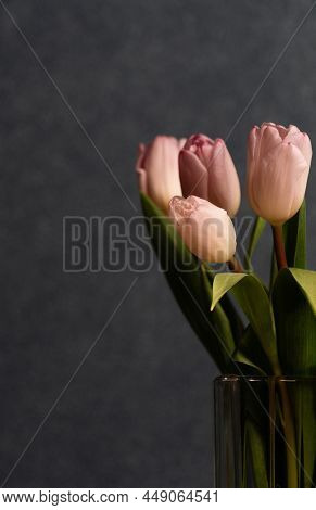 Bouquet Of Pink Tulips In Vase On A Dark Gray Background