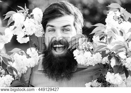 Outdoor Partrait Of Young Man Surrounded By Flowers. Spring Blossom.