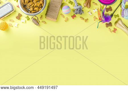Pet Food And Accessories