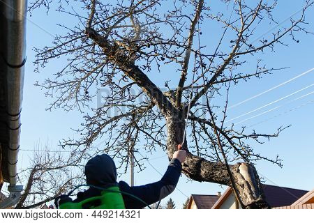 Fumigating Pesti, Pest Control. Defocus Farmer Man Spraying Tree With Manual Pesticide Sprayer Again