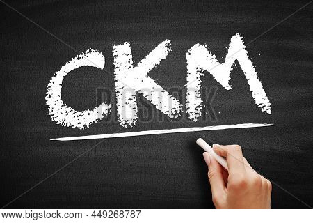 Ckm Customer Knowledge Management - Emerges As A Crucial Element For Customer-oriented Value Creatio