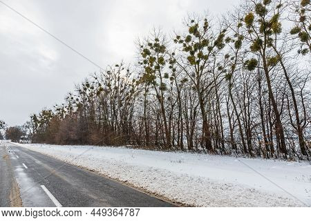 Driving In Winter After A Snowfall, Ice On The Road, Temperatures Below Zero
