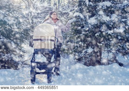 Woman Mother With A Stroller For A Child In A Winter Park Near Snow Covered Christmas Trees. Mom Wit