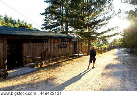The Sila National Park