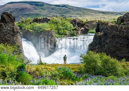 Photographer And The Flowers Field At Hjalparfoss Waterfalls In The Thjorsardalur Valley, Iceland. B