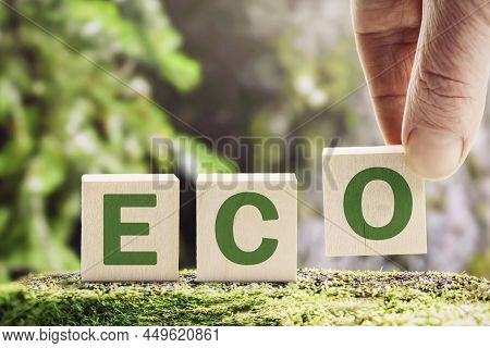 A Hand Puts Cubes Into The Word Eco On A Green Forest Background. Ecology Concept And Green Energy A