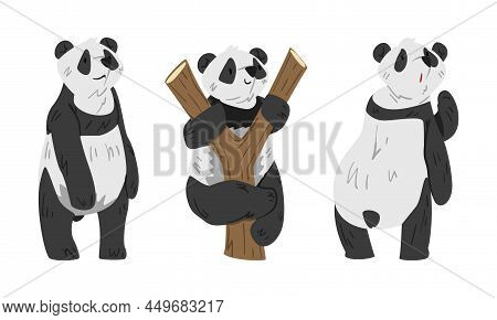 Cute Panda Set. Lovely Wild Animal Cartoon Vector Illustration