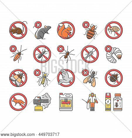 Pest Control Service Treatment Icons Set Vector. Woodworm And Spider, Ant And Rat, Mouse And Silverf