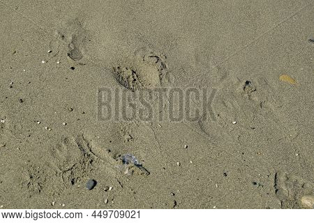Sand On The Beach Close-up, Footprints Across The Horizon. Seaside Background. Copy Space. Top View.