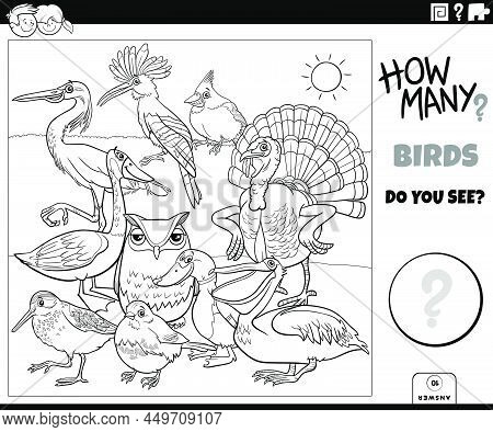 Black And White Illustration Of Educational Counting Game For Children With Cartoon Birds Animal Cha