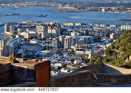 View From Rock Of Gibraltar To City With Monkey And Roller Coaster In Background