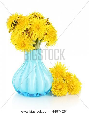 Löwenzahn Blumen in der Vase, isolated on white