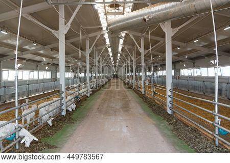 Industrial Building Of A Farm. Hangar. Hangar From Sandwich Panels. Insulated Hangar On A Farm. Farm