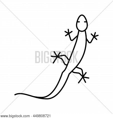 Lizard Wild Animal Line Icon Vector. Lizard Wild Animal Sign. Isolated Contour Symbol Black Illustra
