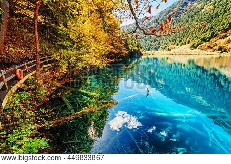 Fantastic View Of Lake With Azure Water Among Colorful Fall Woods In The Shuzheng Valley, Jiuzhaigou