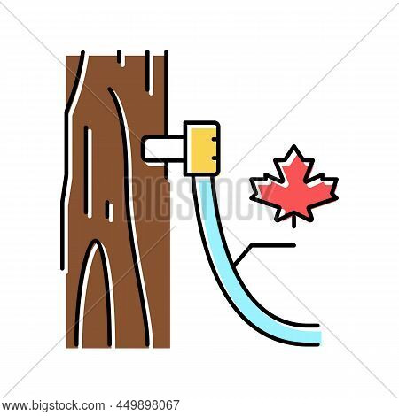 Maple Sap Collection, Using Tubing Method Color Icon Vector. Maple Sap Collection, Using Tubing Meth