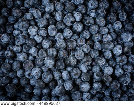 Fresh Organic Blueberries Background. Close Up Top View.