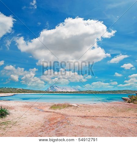 Brandinchi Cove Under A Dramatic Sky