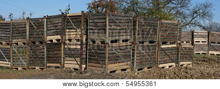 apples container panorama
