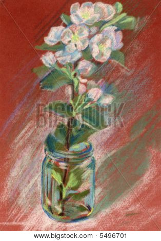 Jabloň květy, Pastel.