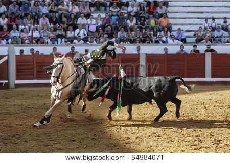 Spanish bullfighter on horseback Diego Ventura putting the bull banderillas bull fixes its horns in
