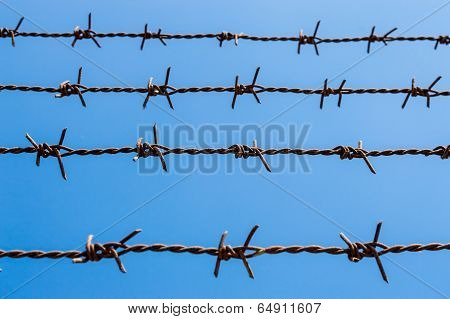 Barbed Wire