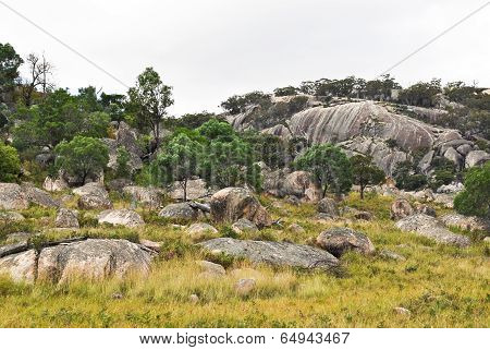Countryside Around Tenterfield In Australia