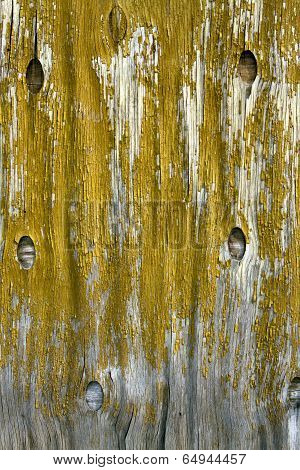 Old Shabby Wooden Yellow Background