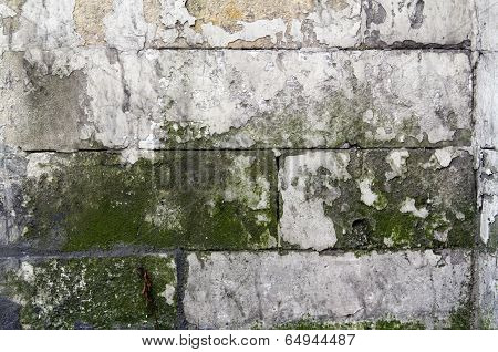 Old Limestone Wall