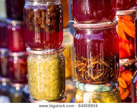 Pine tree cones jam
