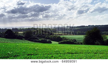 Calm Rural Landscape