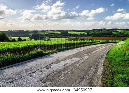 Road Through Fields