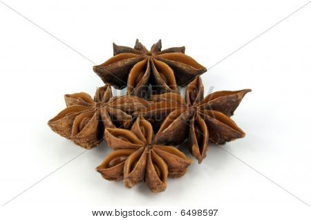 Anisetree