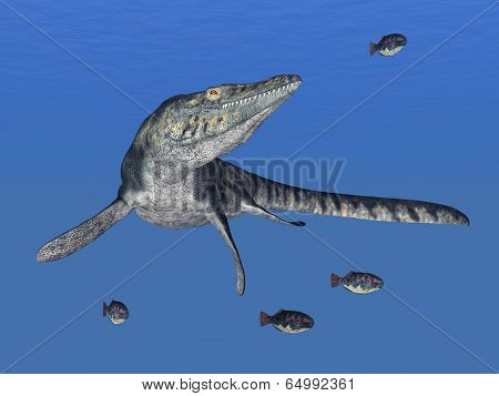 Mosasaur Tylosaurus