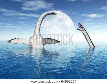 Plesiosaurus