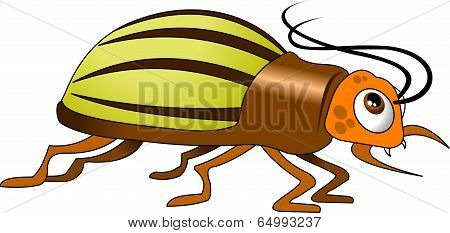 Beetle