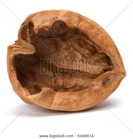 Coquille de noix