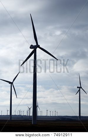 Backlit view of a group of mills for electric power generation in Cuarte de Huerva, Saragossa, Aragon, Spain
