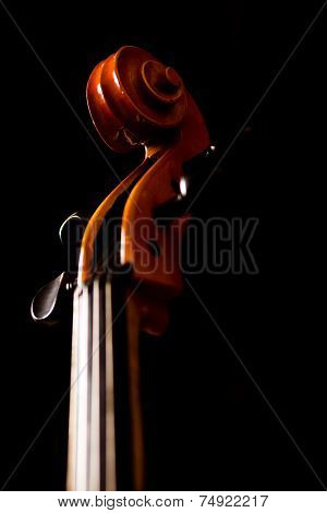 Violoncello detail