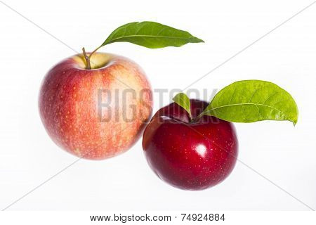 Fresh Fruit Isolated On White Background