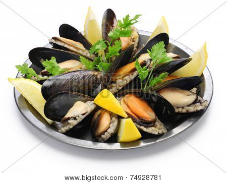 mydye dolmasi, stuffed mussels, turkish food isolated on white background
