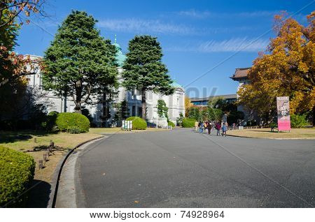 Tokyo, Japan - November 22, 2013: People Visit Tokyo National Museum